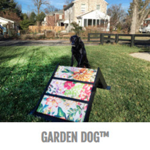 CAD Drawings Gyms For Dogs Garden Dog